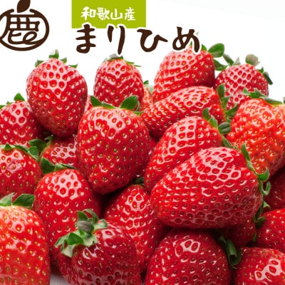 ＜2024年4月より発送＞朝摘み毬姫約1.2kg(300g前後×4P)【和歌山ブランド苺まりひめ】