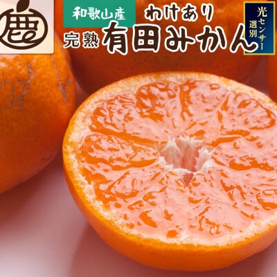 ＜2024年11月より発送＞家庭用 完熟有田みかん1kg+30g(傷み補償分)【わけあり】
