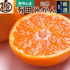 <先行受付>厳選 完熟有田みかん5kg+150g(傷み補償分)【光センサー選果】