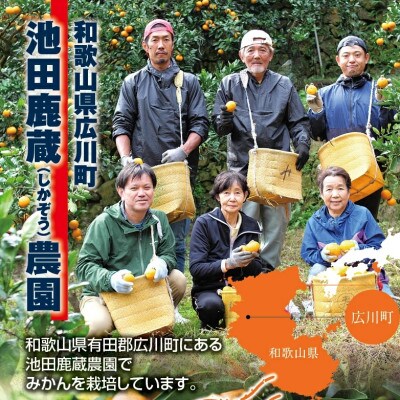 家庭用 小さな有田みかん5kg+250g(傷み補償分)【光センサー選果】【訳あり・わけあり】