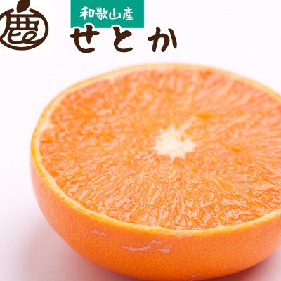 ＜2月より発送＞厳選 せとか1.5kg+45g(傷み補償分)【春みかんの王様】【光センサー選別】