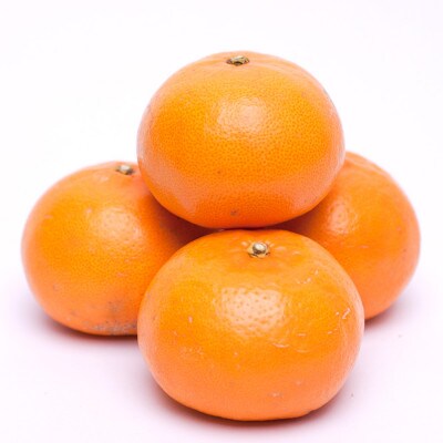 ＜2月より発送＞厳選 せとか1.5kg+45g(傷み補償分)【春みかんの王様】【光センサー選別】
