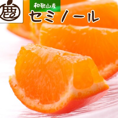 ＜4月より発送＞厳選 セミノールオレンジ4kg+120g(傷み補償分)【有田産】【光センサー選別】