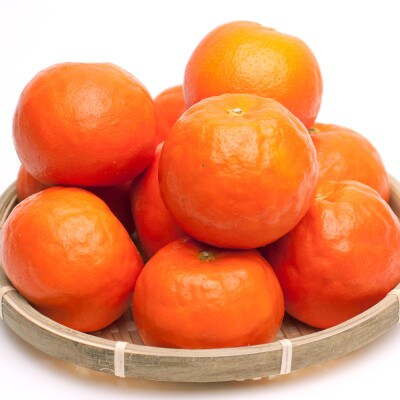 ＜4月より発送＞厳選 セミノールオレンジ4kg+120g(傷み補償分)【有田産】【光センサー選別】