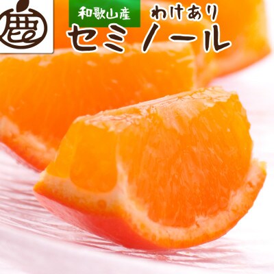 ＜4月より発送＞家庭用 セミノールオレンジ4.5kg+135g(傷み補償分)【有田産】【わけあり】