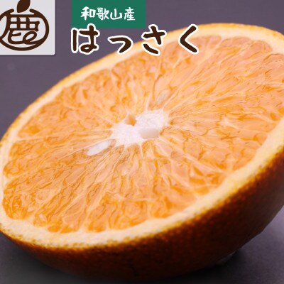<先行受付>秀品 はっさく5.5kg+165g(傷み補償分)<1月より発送>