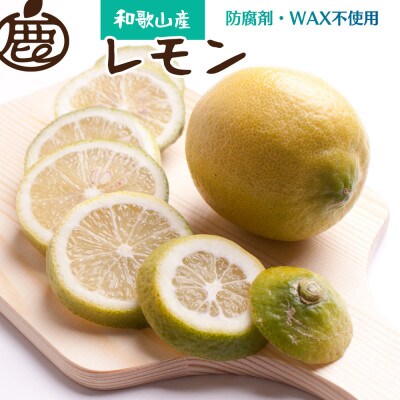 厳選 黒潮レモン2kg+60g(傷み補償分)【和歌山有田産】【防腐剤・WAX不使用】