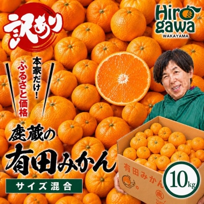 家庭用 有田みかん10kg+250g(傷み補償分)【光センサー選果】【訳あり】