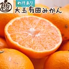 家庭用 大きな有田みかん2.5kg+250g(傷み補償分)【光センサー選果】【訳あり】