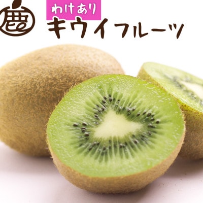 【11月より順次発送】わけあり キウイフルーツ1kg+250g(傷み補償分)【訳あり・扁平果】