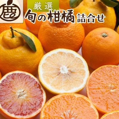 厳選 柑橘詰合せ2.5kg+250g(傷み補償分)【有田の春みかん詰め合わせ・フルーツ詰め合せ】