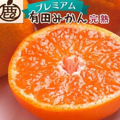 プレミアム 完熟有田みかん2.5kg+250g(傷み補償分)【光センサー選果】