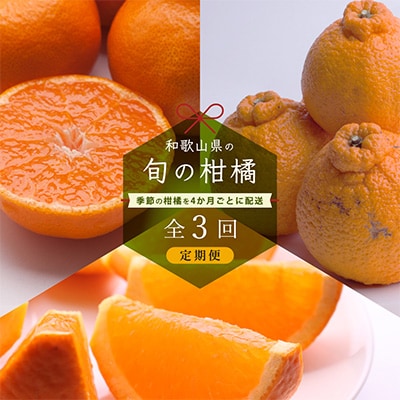 【発送月固定定期便】和歌山有田の季節の柑橘5kg フルーツ定期便 4か月ごと(1月5月9月)全3回