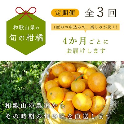 【発送月固定定期便】和歌山有田の季節の柑橘5kg フルーツ定期便 4か月ごと(1月5月9月)全3回