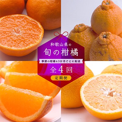 【発送月固定定期便】和歌山有田の季節の柑橘5kg 定期便 3か月ごと(1月4月7月10月)全4回