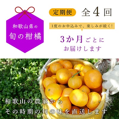 【発送月固定定期便】和歌山有田の季節の柑橘5kg 定期便 3か月ごと(1月4月7月10月)全4回