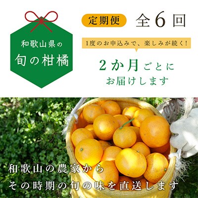 【発送月固定定期便】和歌山有田の季節の柑橘5kg フルーツ定期便 2か月ごと(偶数月)全6回