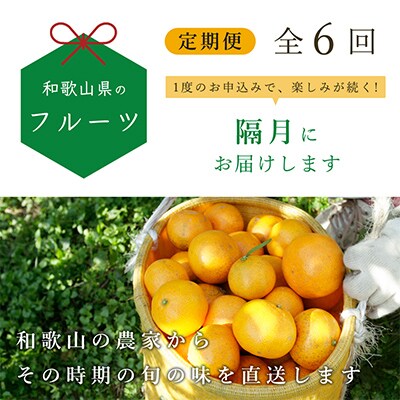 【発送月固定定期便】フルーツ定期便B【フルーツ定期便】【和歌山県有田】全6回
