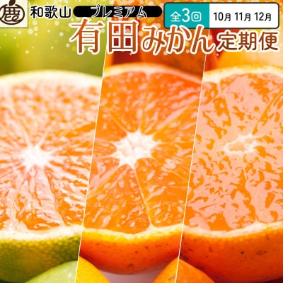 【発送月固定定期便】厳選 柑橘定期便SS(10～12月)全3回