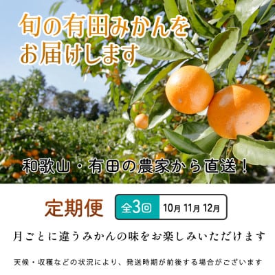 【発送月固定定期便】厳選 柑橘定期便SS(10～12月)全3回