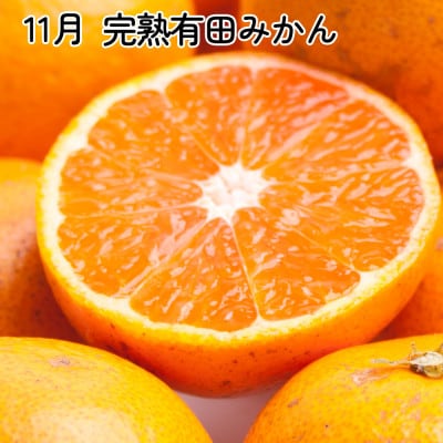 【発送月固定定期便】厳選 柑橘定期便SS(10～12月)全3回