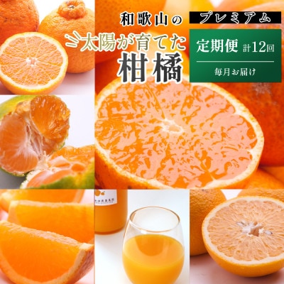 【発送月固定定期便】厳選 柑橘定期便S(毎月)全12回