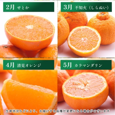 【発送月固定定期便】厳選 柑橘定期便S(毎月)全12回
