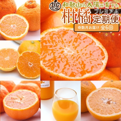 【発送月固定定期便】厳選 柑橘定期便S(奇数月)全6回