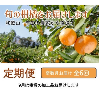 【発送月固定定期便】厳選 柑橘定期便S(奇数月)全6回