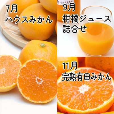 【発送月固定定期便】厳選 柑橘定期便S(奇数月)全6回