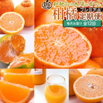 【発送月固定定期便】厳選 柑橘定期便M(毎月)全12回