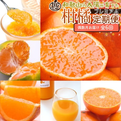 【発送月固定定期便】厳選 柑橘定期便M(偶数月)全6回