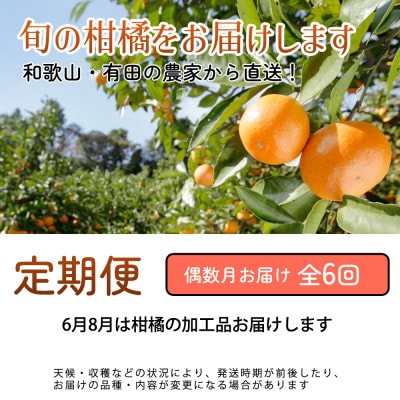 【発送月固定定期便】厳選 柑橘定期便M(偶数月)全6回