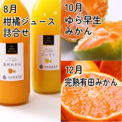 【発送月固定定期便】厳選 柑橘定期便M(偶数月)全6回