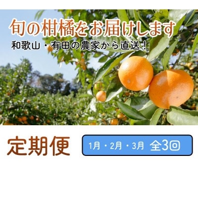 【発送月固定定期便】厳選 柑橘定期便S(1～3月)全3回