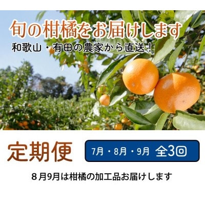 【発送月固定定期便】厳選 柑橘定期便S(7～9月)全3回