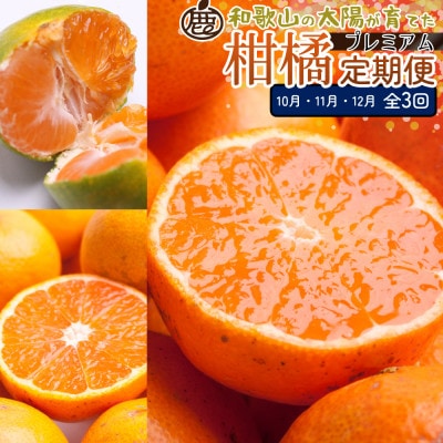 【発送月固定定期便】厳選 柑橘定期便S(10～12月)全3回