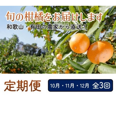 【発送月固定定期便】厳選 柑橘定期便S(10～12月)全3回