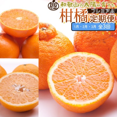 【発送月固定定期便】厳選 柑橘定期便M(1～3月)全3回