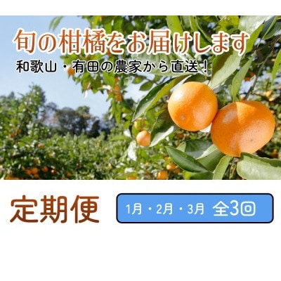 【発送月固定定期便】厳選 柑橘定期便M(1～3月)全3回