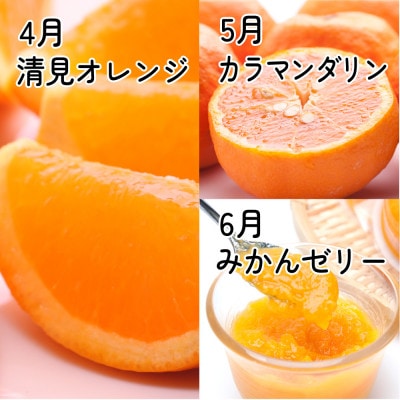 【発送月固定定期便】厳選 柑橘定期便M(4～6月)全3回