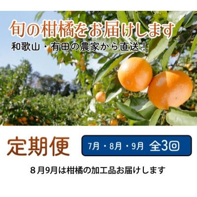 【発送月固定定期便】厳選 柑橘定期便M(7～9月)全3回
