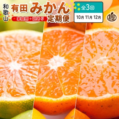 【発送月固定定期便】家庭用 柑橘定期便SS(10～12月)全3回
