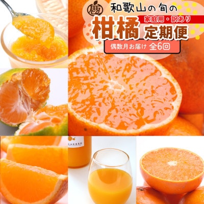 【発送月固定定期便】家庭用 柑橘定期便S(偶数月)全6回