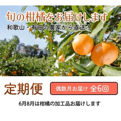 【発送月固定定期便】家庭用 柑橘定期便S(偶数月)全6回