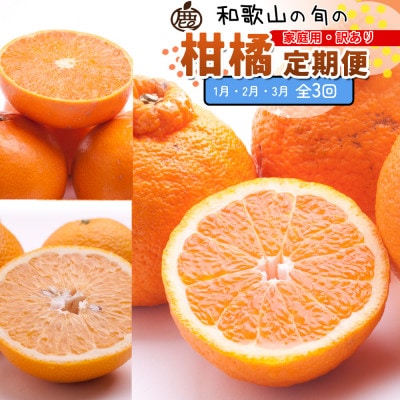 【発送月固定定期便】家庭用 柑橘定期便S(1～3月)全3回