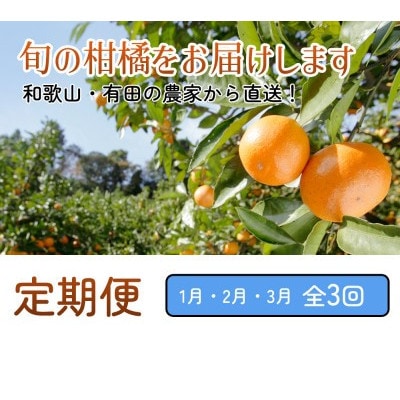 【発送月固定定期便】家庭用 柑橘定期便S(1～3月)全3回