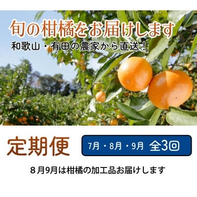 【発送月固定定期便】家庭用 柑橘定期便S(7～9月)全3回