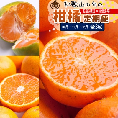 【発送月固定定期便】家庭用 柑橘定期便S(10～12月)全3回