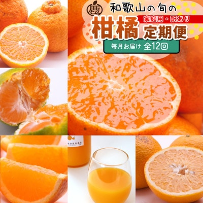 【発送月固定定期便】家庭用 柑橘定期便M(毎月)全12回